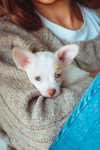 Midsection of woman with dog