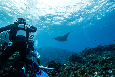 Scuba diver in sea