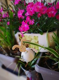 Close-up of honey bee on flower