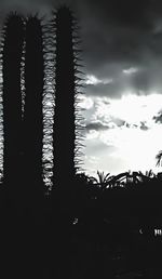 Silhouette palm trees against sky during sunset