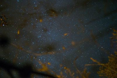 Close-up of star field against sky at night