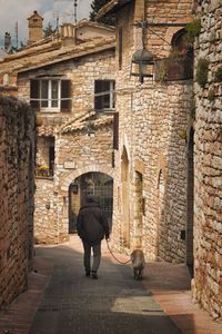 View of dog and people walking in building