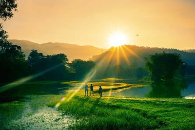 Sun shining over landscape