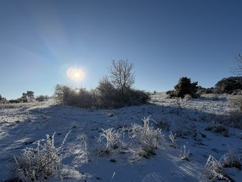 snow