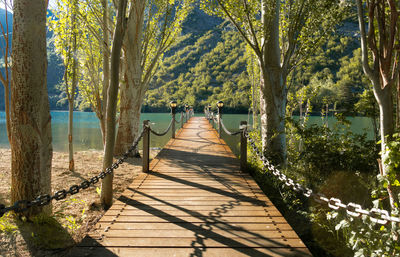 Boardwalk amidst trees by lake