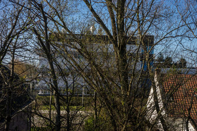 Bare trees and buildings in city