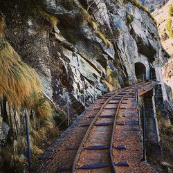 Railroad tracks amidst trees