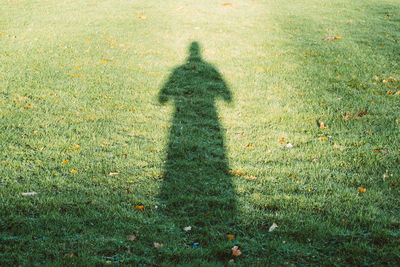 Shadow of person on grass