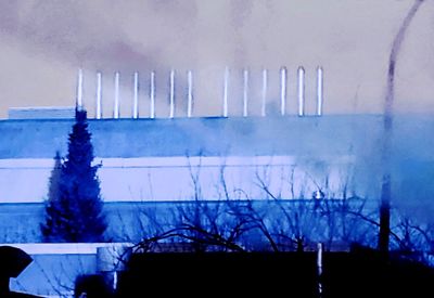 Plants by building against sky at dusk