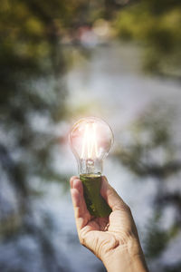 Hand holding lightbulb