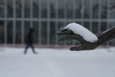 Close-up of person on snow