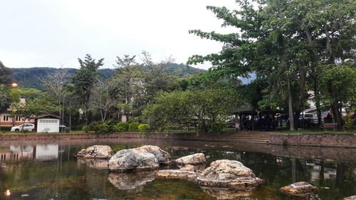 Scenic view of lake by trees against sky