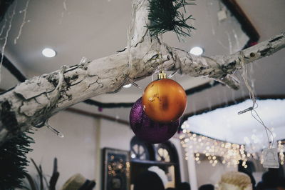 Close-up of christmas hanging on tree