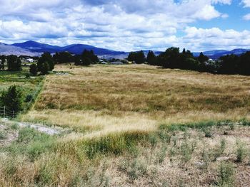 Grass field against mountain