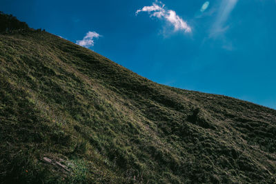 Scenic view of landscape against blue sky