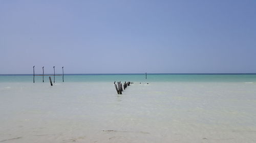 Scenic view of sea against clear sky