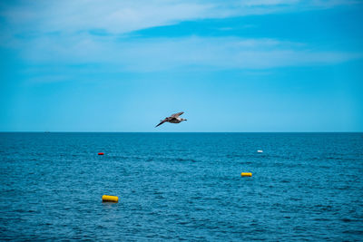 View of birds flying over sea against sky