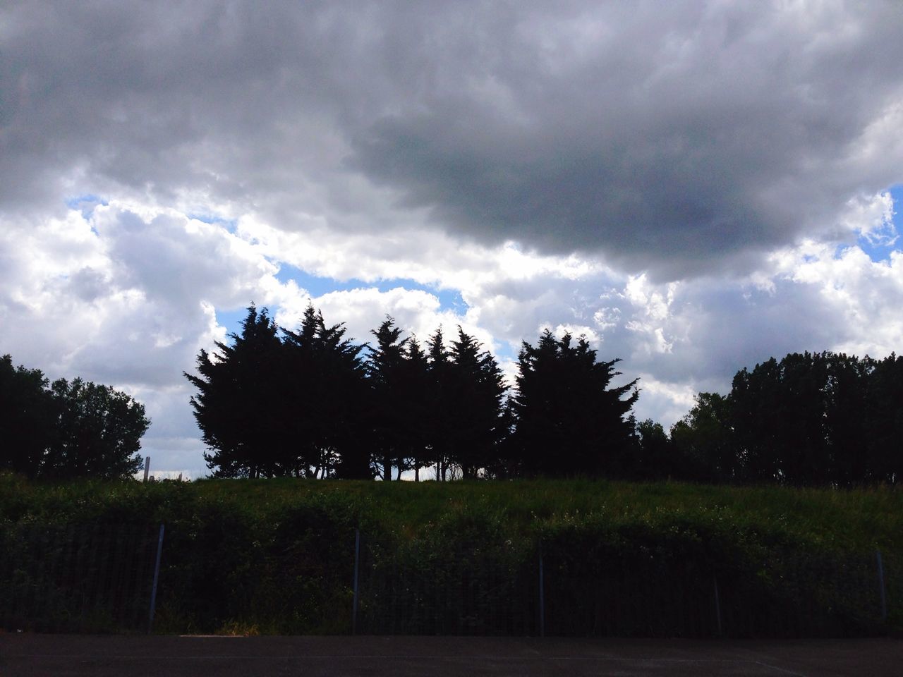 sky, tree, cloud - sky, cloudy, tranquility, tranquil scene, cloud, landscape, field, nature, growth, beauty in nature, scenics, overcast, grass, silhouette, weather, storm cloud, dusk, dramatic sky