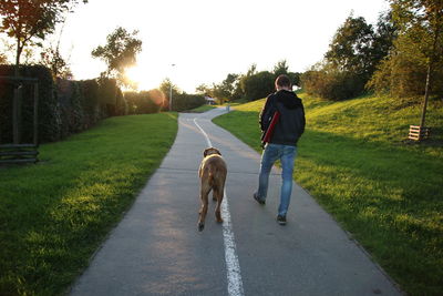 Rear view of men walking with dog on footpath