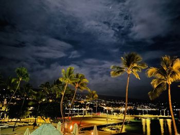 Palm trees by swimming pool against sky at night