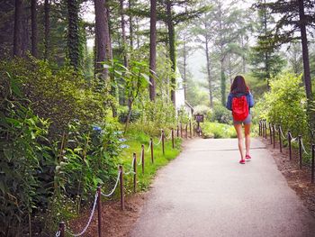 Rear view of woman walking in forest