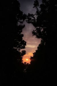 Low angle view of silhouette trees against sky during sunset