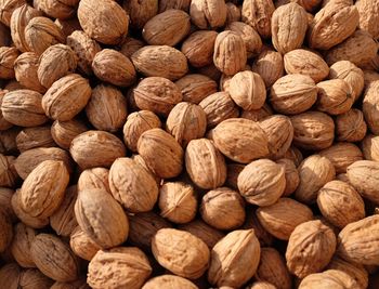 Close-up of walnuts
