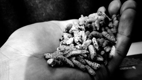 Close-up of hand holding flowers