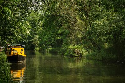 Scenic view of lake by trees in forest