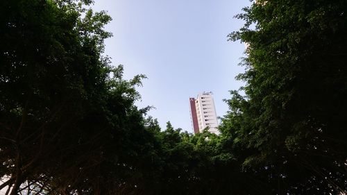 Low angle view of building against clear sky