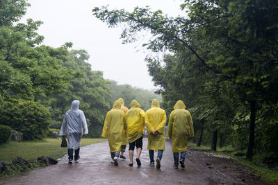 Rear view of friends wearing raincoat walking at bijarim forest during rainy season
