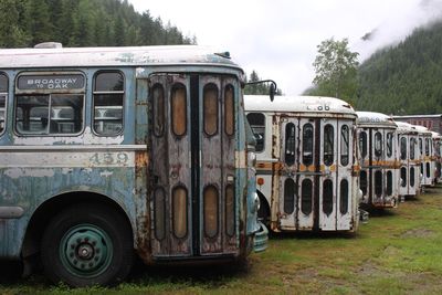 Old vancouver busses in a ghost town