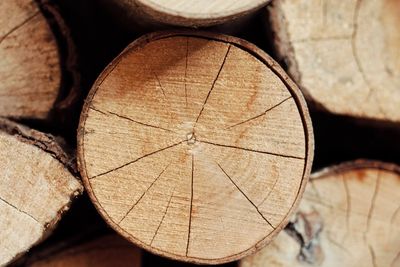 Close-up of logs on tree stump