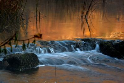 View of waterfall in forest