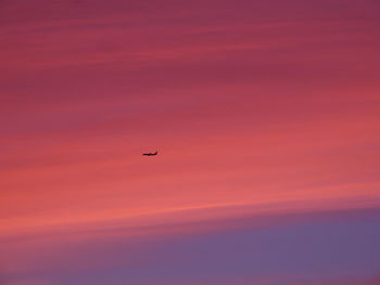 Airplane flying in sky at sunset