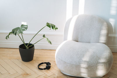 Close-up of potted plant on table at home