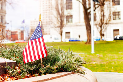 Flag against trees and buildings in city