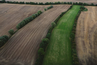 Scenic view of agricultural field