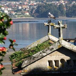 Bird perching on statue by lake