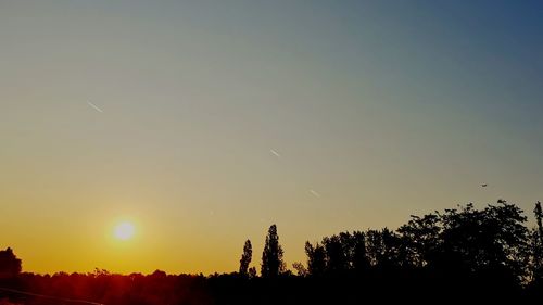 Silhouette trees against sky during sunset