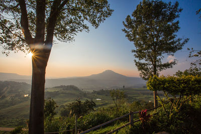 Scenic view of tree mountains against sky at sunset