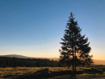 Silhouette tree on field against sky during sunset