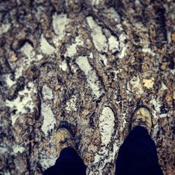 Low section of person standing on rock