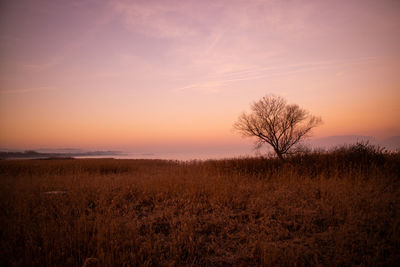 Scenic view of field against sky during sunset