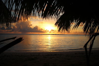 Silhouette palm trees on beach against sky during sunset