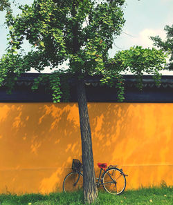 Bicycle by tree on field against sky