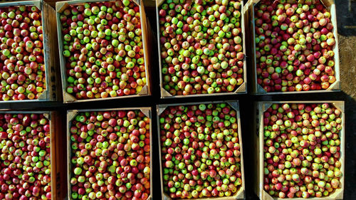 Full frame shot of various fruits for sale