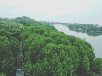 High angle view of plants and trees against sky