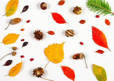 High angle view of multi colored candies on white background