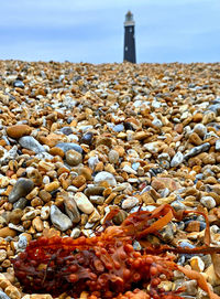 Close-up of stones on beach